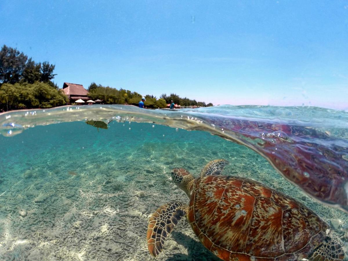 Mimpi Bungalow Gili Meno Exteriér fotografie